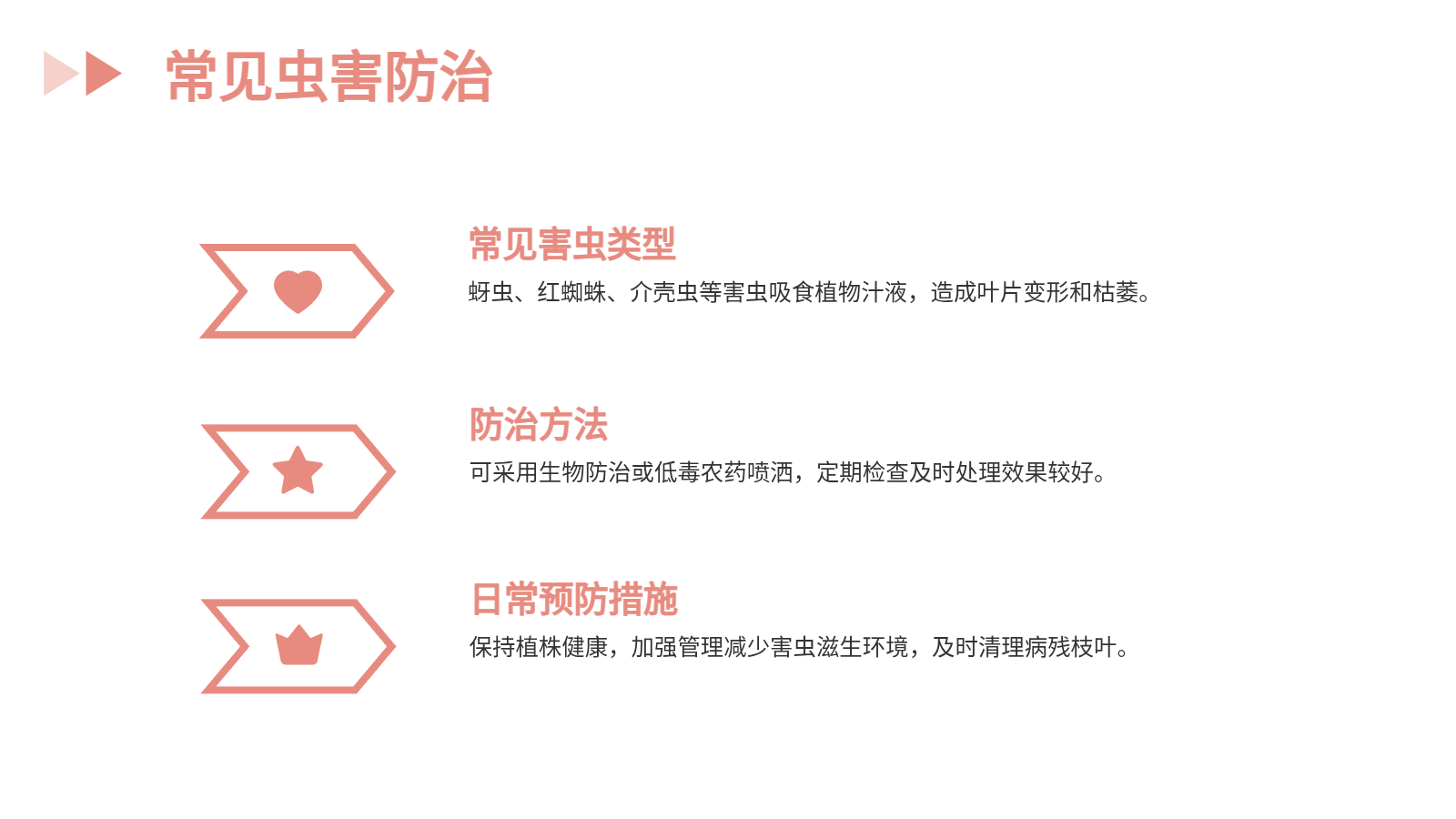 花卉養(yǎng)殖與應用PPT｜從入門到園藝設(shè)計