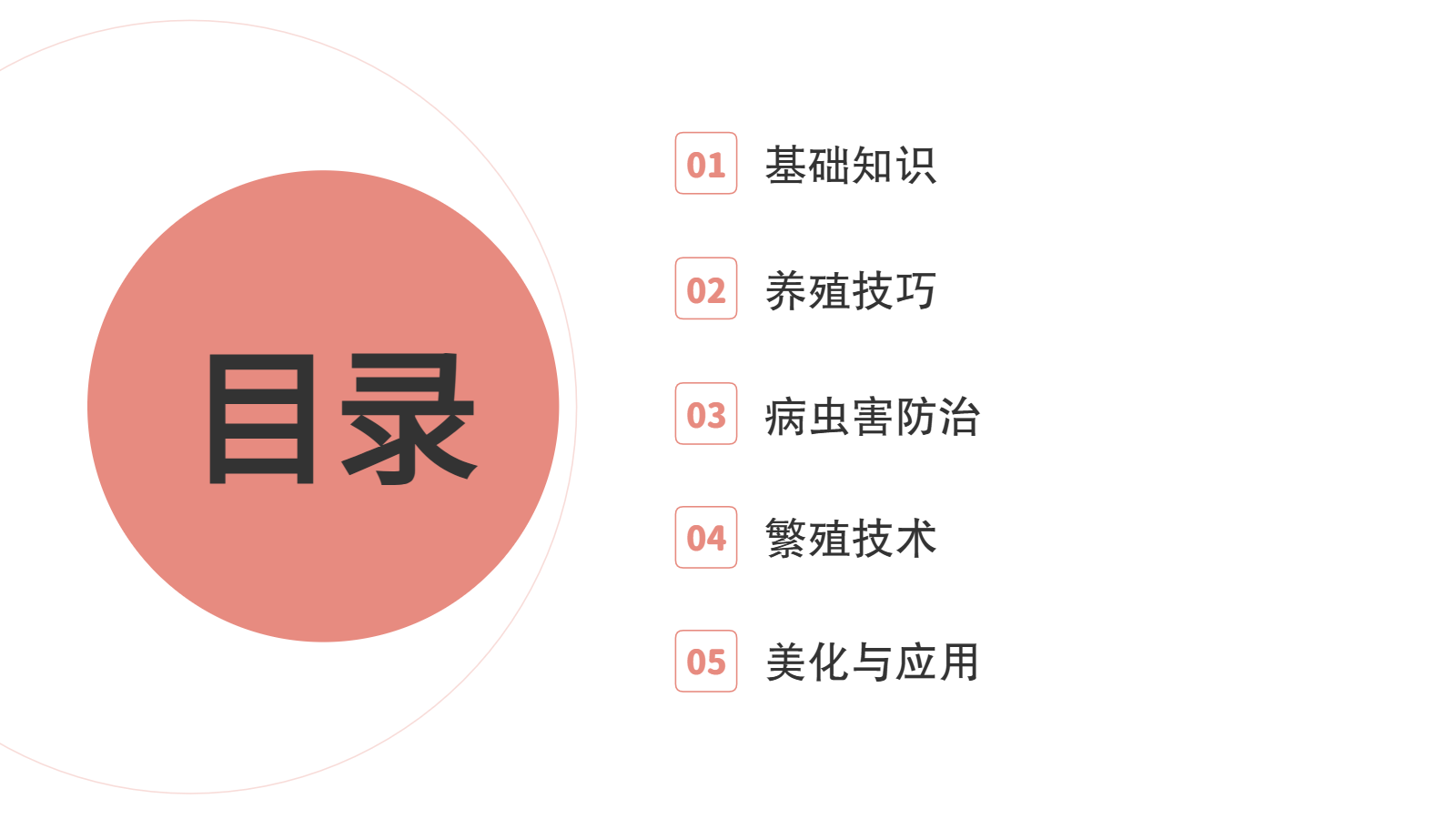 花卉養(yǎng)殖與應用PPT｜從入門到園藝設(shè)計