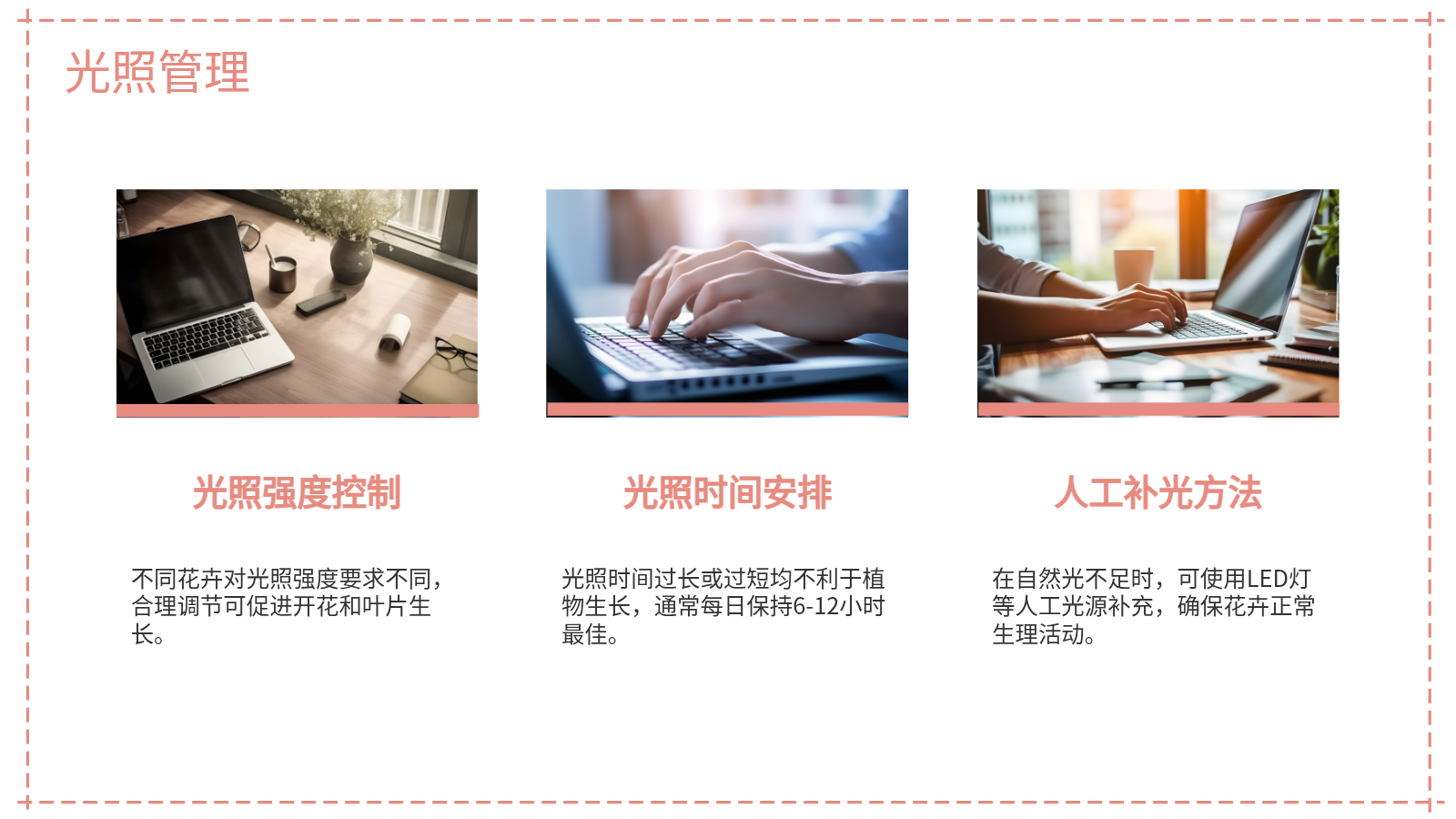 花卉養(yǎng)殖與應用PPT｜從入門到園藝設(shè)計