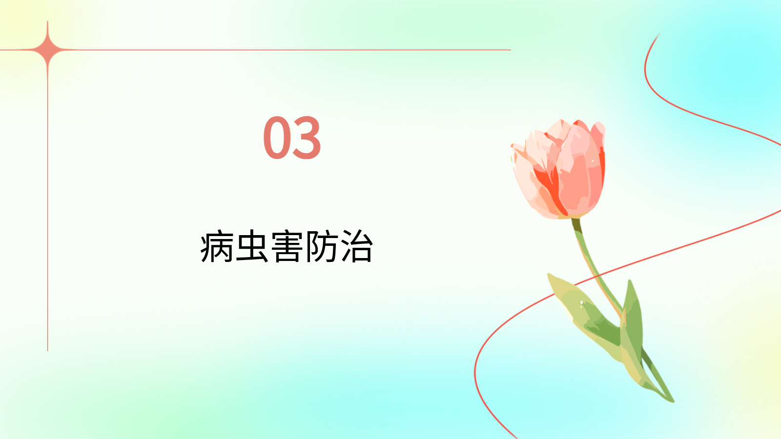 花卉養(yǎng)殖與應用PPT｜從入門到園藝設(shè)計