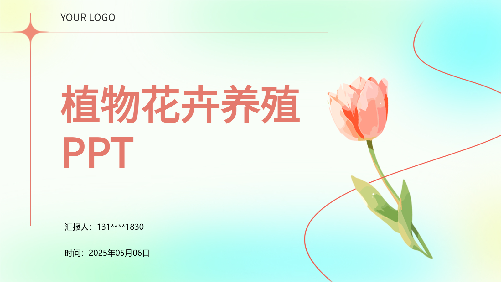 花卉養(yǎng)殖與應(yīng)用PPT｜從入門到園藝設(shè)計(jì)