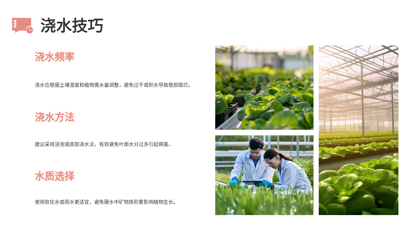 花卉養(yǎng)殖與應用PPT｜從入門到園藝設(shè)計