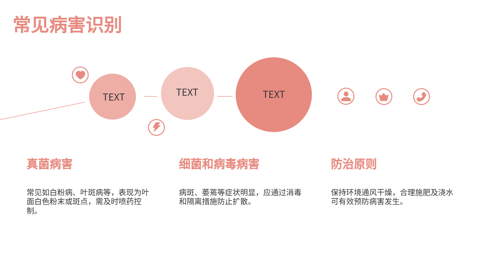 花卉養(yǎng)殖與應用PPT｜從入門到園藝設(shè)計