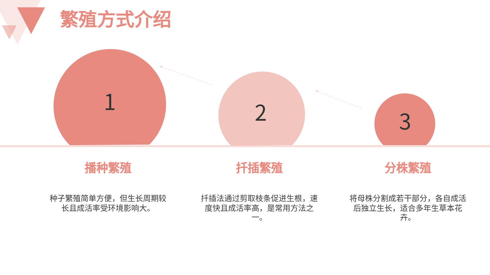 花卉養(yǎng)殖與應用PPT｜從入門到園藝設(shè)計