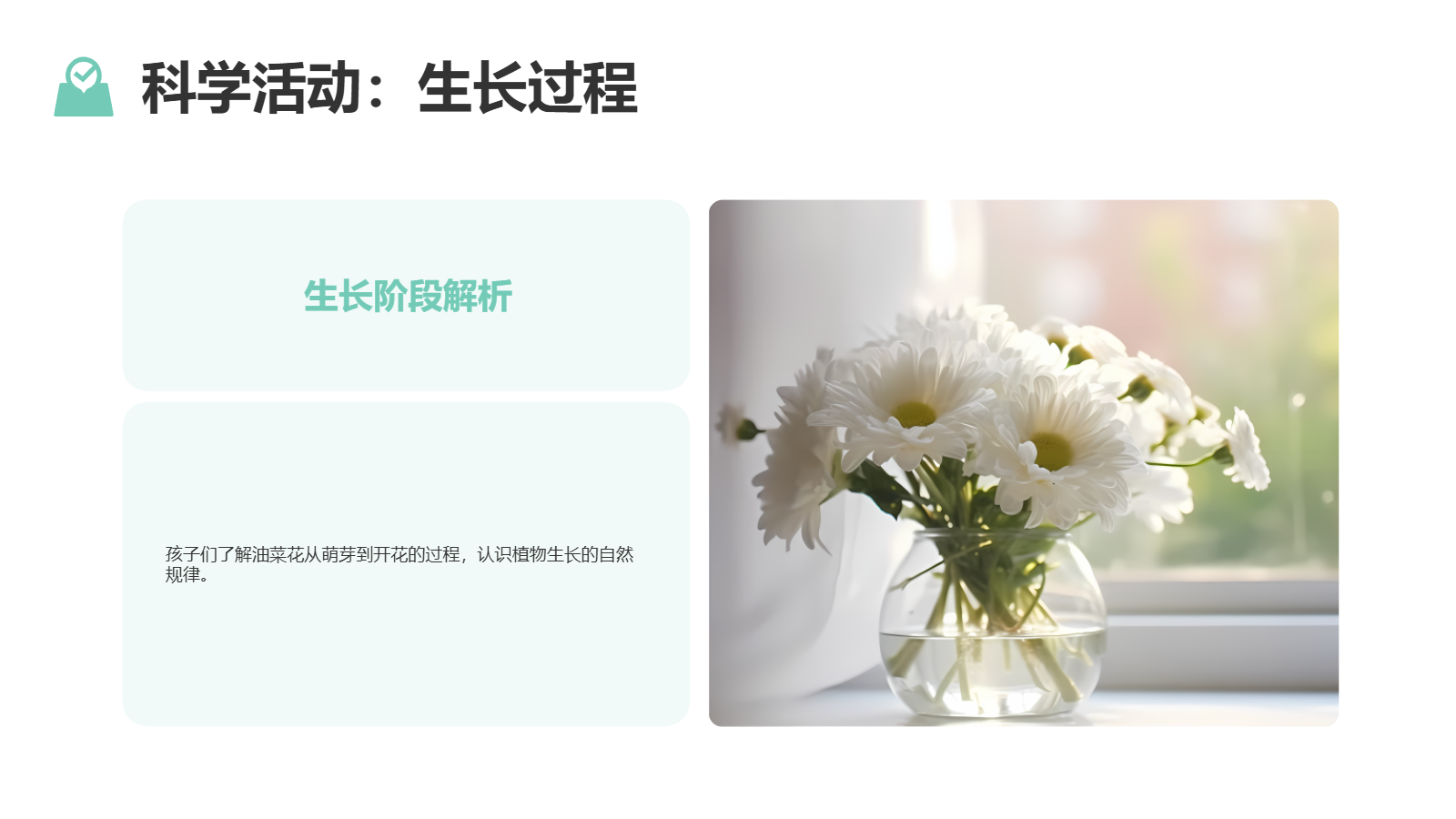 小班班本課程PPT｜《遇見油菜花》自然探究