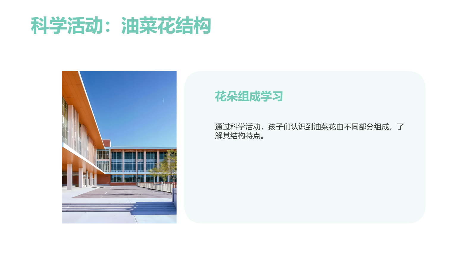 小班班本課程PPT｜《遇見油菜花》自然探究