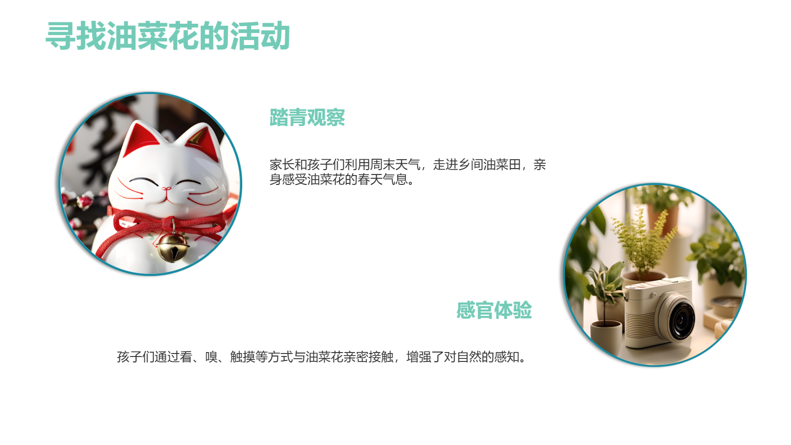 小班班本課程PPT｜《遇見油菜花》自然探究