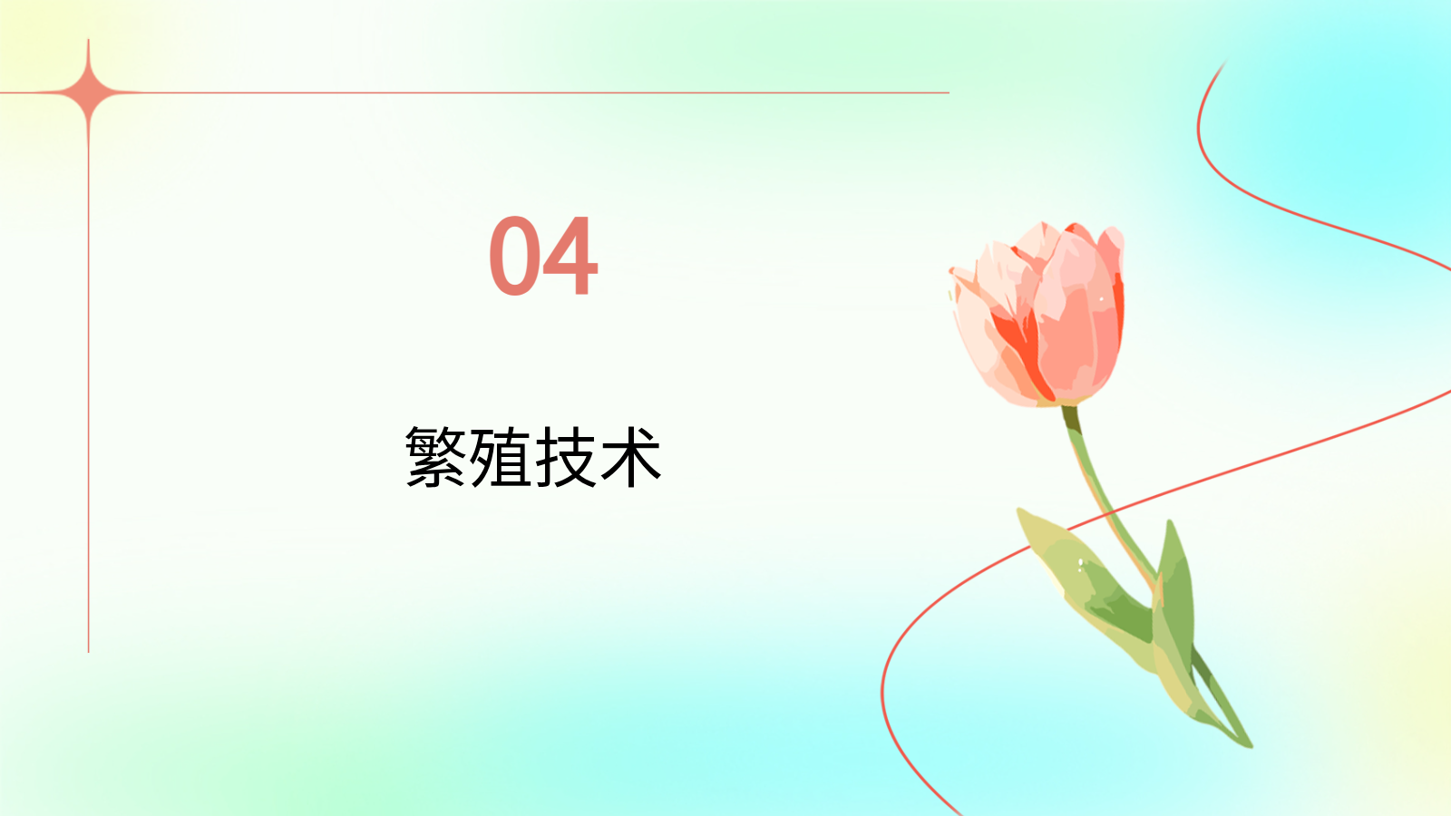 花卉養(yǎng)殖與應用PPT｜從入門到園藝設(shè)計