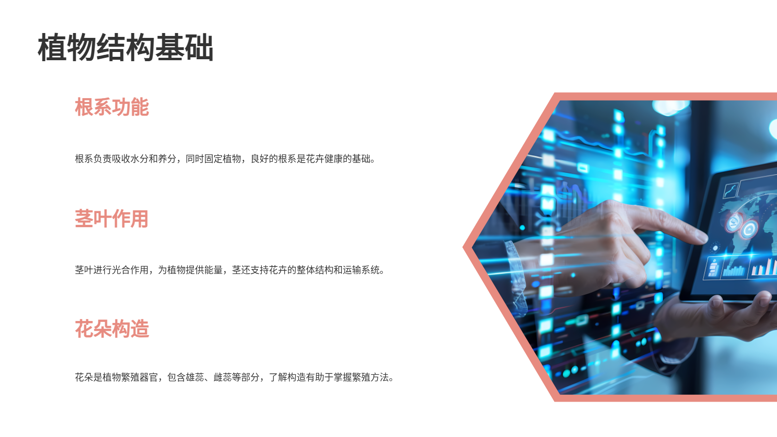 花卉養(yǎng)殖與應用PPT｜從入門到園藝設(shè)計