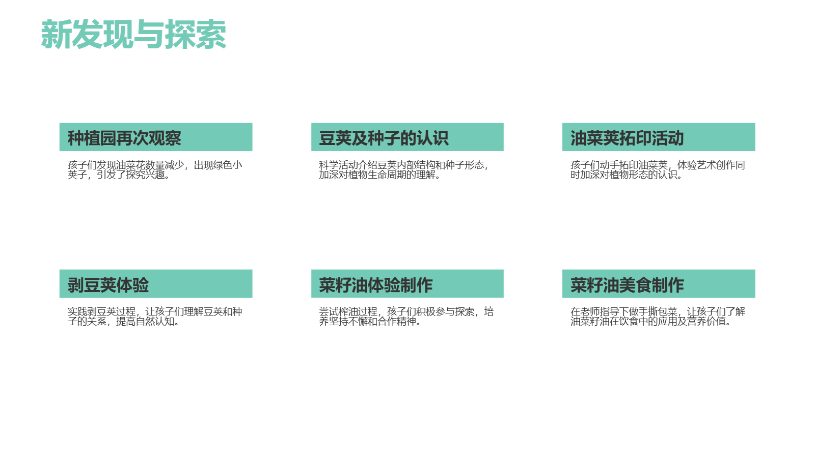 小班班本課程PPT｜《遇見油菜花》自然探究