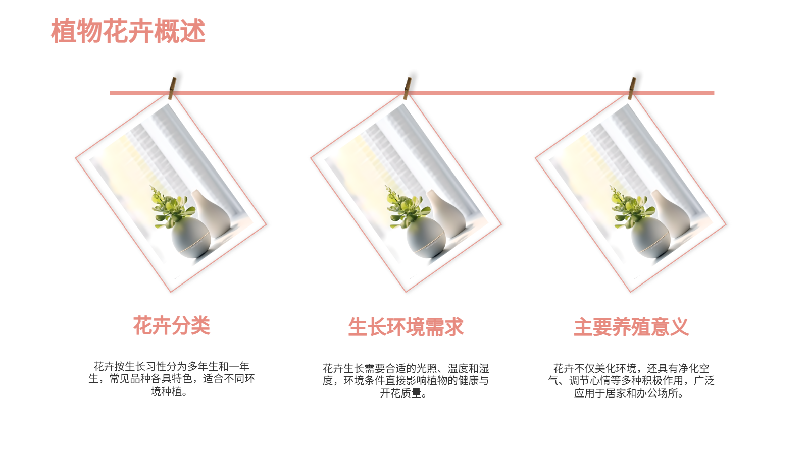 花卉養(yǎng)殖與應用PPT｜從入門到園藝設(shè)計