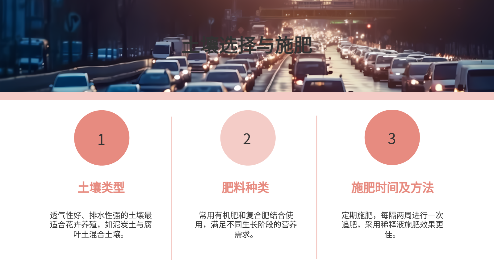 花卉養(yǎng)殖與應用PPT｜從入門到園藝設(shè)計