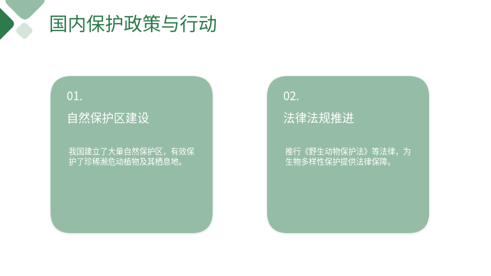 AI一键生成生物PPT
