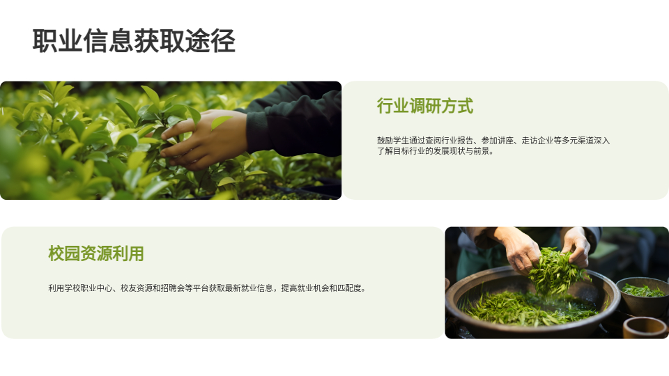 AI一键生成大学生职业生涯规划PPT
