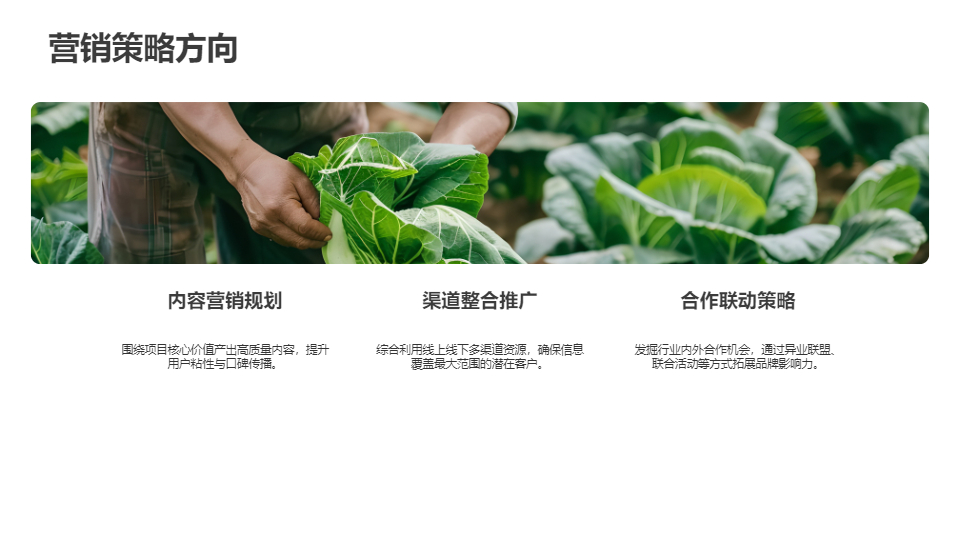 AI一鍵生成項(xiàng)目推廣營(yíng)銷(xiāo)活動(dòng)方案PPT