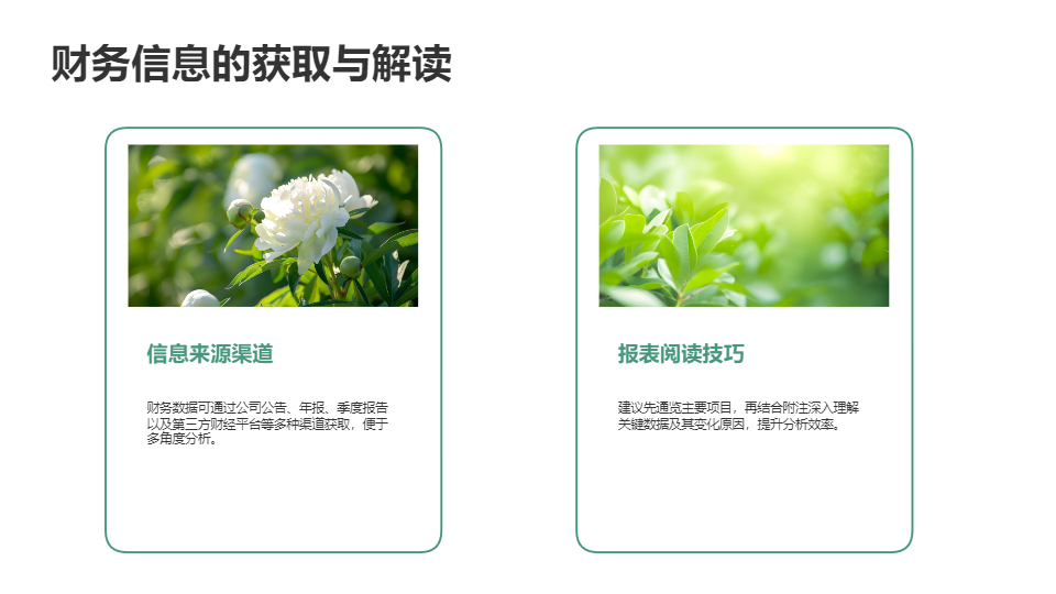 AI一鍵生成財(cái)務(wù)報(bào)表分析報(bào)告PPT