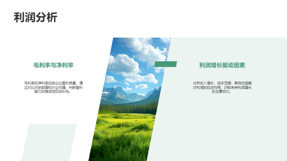 AI一鍵生成財(cái)務(wù)報(bào)表分析報(bào)告PPT