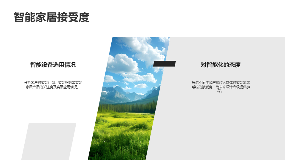 AI一鍵生成室內(nèi)設(shè)計客戶分析報告PPT