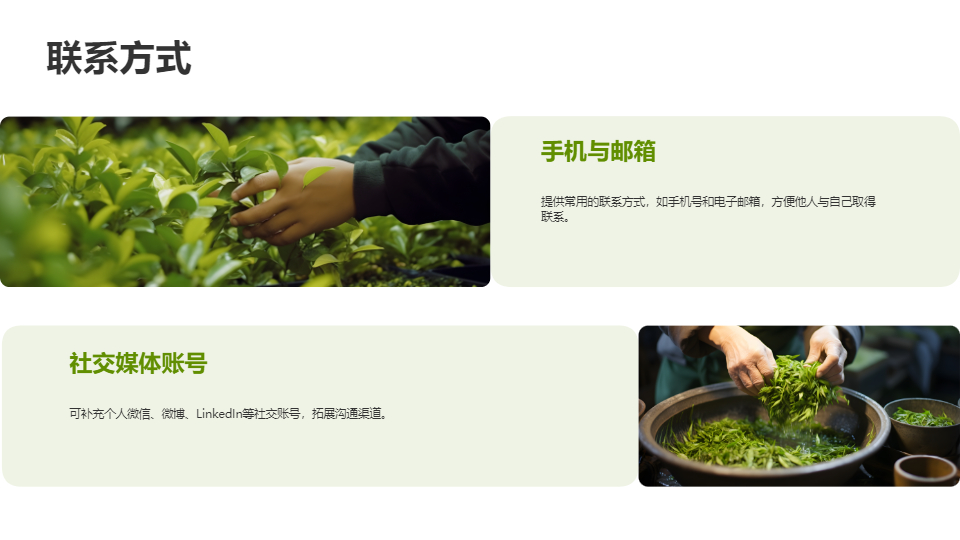 AI一键生成小清新个人简介工作总结PPT