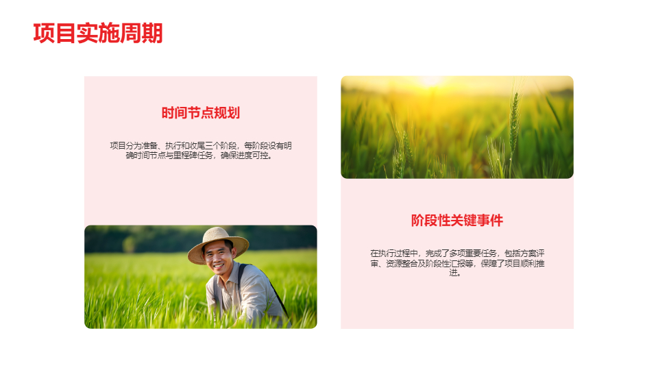 AI一键生成极简风商务项目工作总结PPT